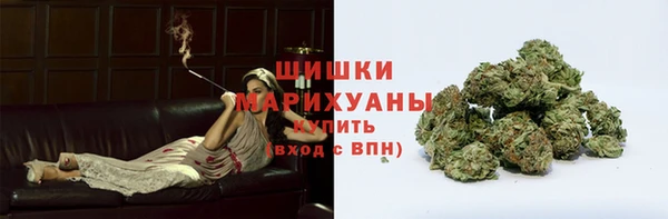 прущие грибы Покачи