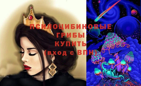 прущие грибы Покачи