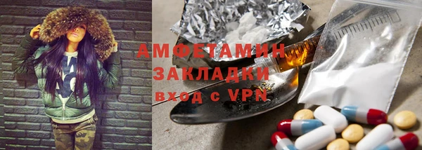 прущие грибы Покачи