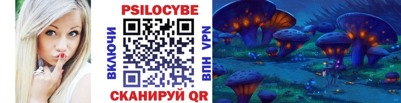 Псилоцибиновые грибы Cubensis  Балахна 